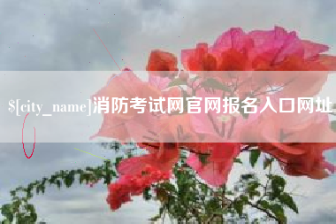 铜川消防考试网官网报名入口网址