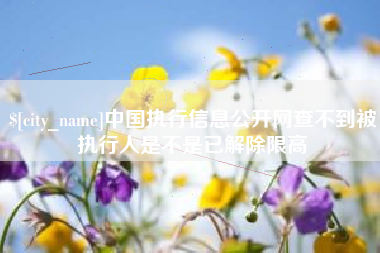 铜川中国执行信息公开网查不到被执行人是不是已解除限高
