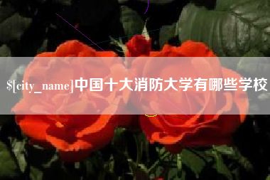 铜川中国十大消防大学有哪些学校