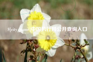 铜川中国执行网公开查询入口