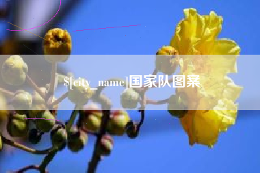 铜川国家队图案