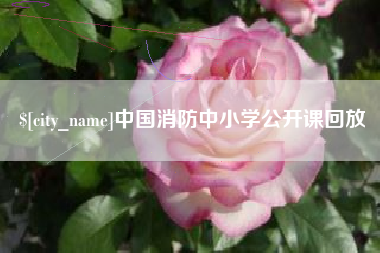 铜川中国消防中小学公开课回放
