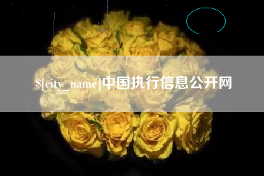 铜川中国执行信息公开网
