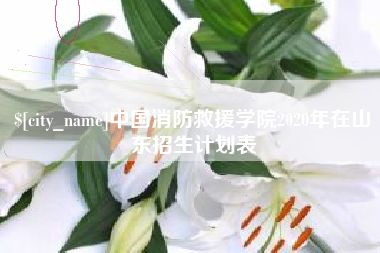 铜川中国消防救援学院2020年在山东招生计划表