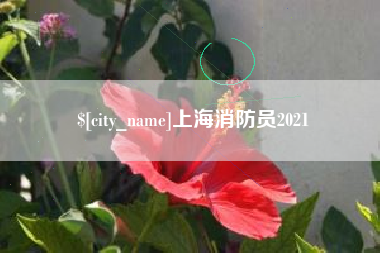 铜川上海消防员2021