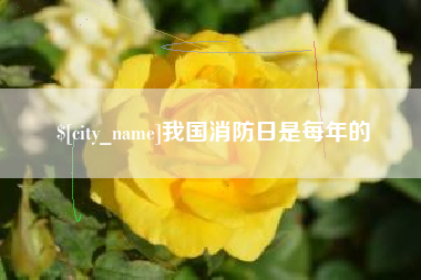 铜川我国消防日是每年的