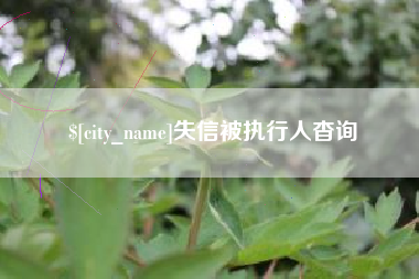 铜川失信被执行人杳询