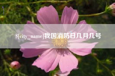 铜川我国消防日几月几号