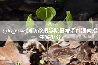 铜川消防救援学院报考条件湖南招生多少分