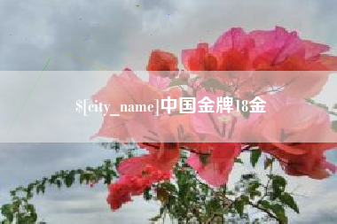铜川中国金牌18金