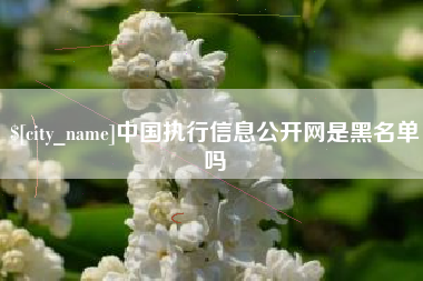 铜川中国执行信息公开网是黑名单吗