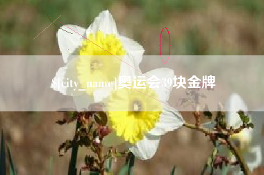 铜川奥运会39块金牌