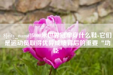 铜川5000米世界冠军穿什么鞋-它们是运动员取得优异成绩背后的重要“功臣”