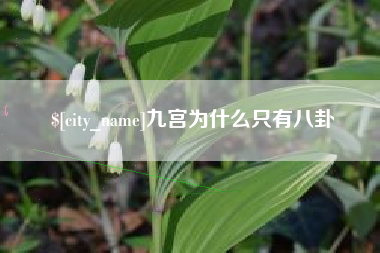 铜川九宫为什么只有八卦