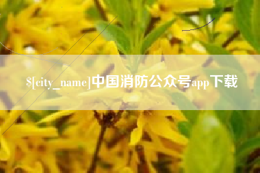 铜川中国消防公众号app下载