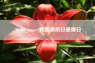 铜川我国消防日是哪日