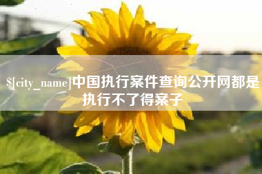 铜川中国执行案件查询公开网都是执行不了得案子