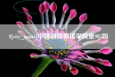 铜川中国消防救援学院是985吗