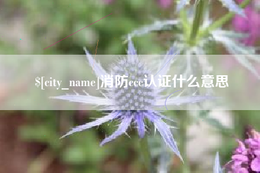 铜川消防ccc认证什么意思