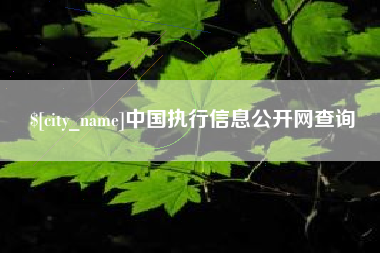 铜川中国执行信息公开网查询