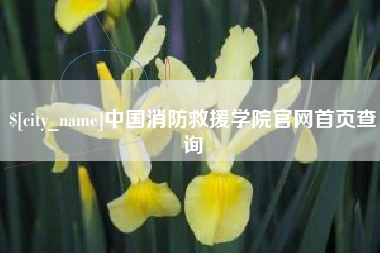 铜川中国消防救援学院官网首页查询