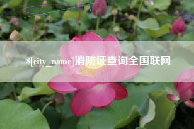 铜川消防证查询全国联网