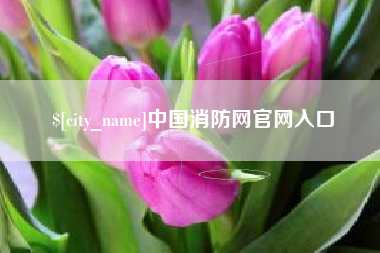 铜川中国消防网官网入口