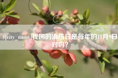 铜川我国的消防日是每年的11月9日对吗？