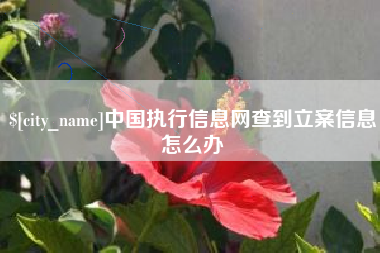 铜川中国执行信息网查到立案信息怎么办