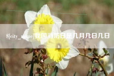 铜川我国消防日是几月几日几日