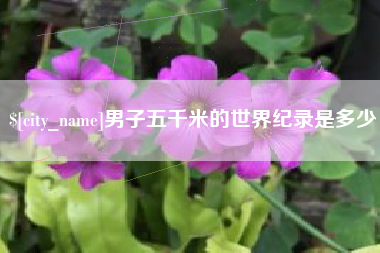 铜川男子五千米的世界纪录是多少