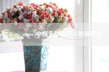 铜川中国失信执行人查询官网