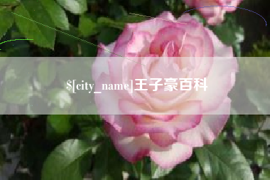 铜川王子豪百科