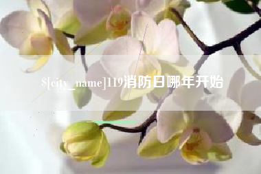铜川119消防日哪年开始