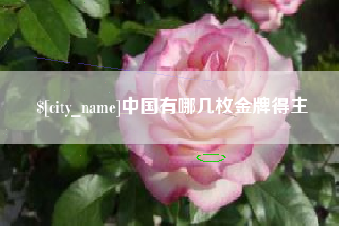 铜川中国有哪几枚金牌得主