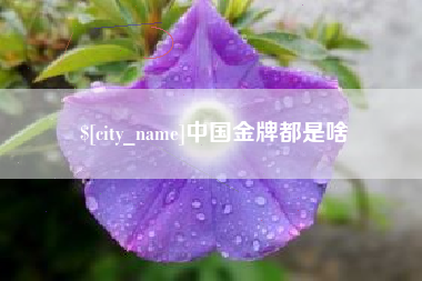 铜川中国金牌都是啥