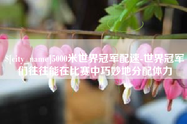 铜川5000米世界冠军配速-世界冠军们往往能在比赛中巧妙地分配体力