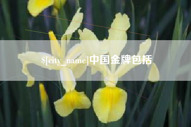 铜川中国金牌包括