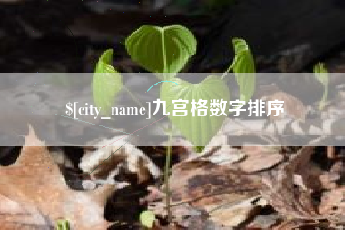 铜川九宫格数字排序