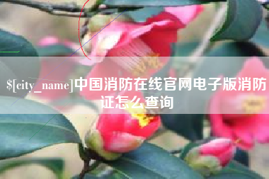 铜川中国消防在线官网电子版消防证怎么查询