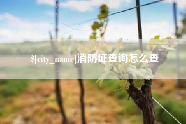 铜川消防证查询怎么查