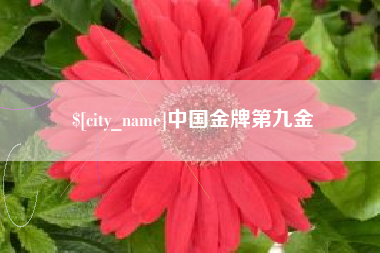 铜川中国金牌第九金