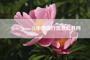 铜川1.中国执行信息公开网