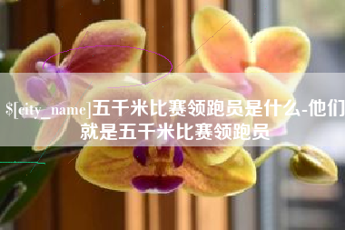铜川五千米比赛领跑员是什么-他们就是五千米比赛领跑员