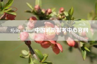 铜川中国消防报考中心官网