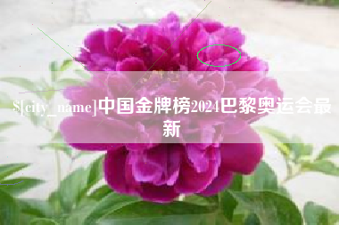 铜川中国金牌榜2024巴黎奥运会最新