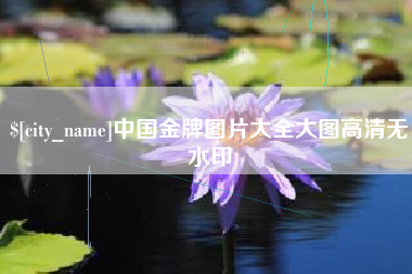 铜川中国金牌图片大全大图高清无水印