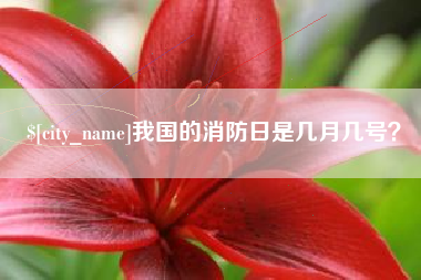 铜川我国的消防日是几月几号？