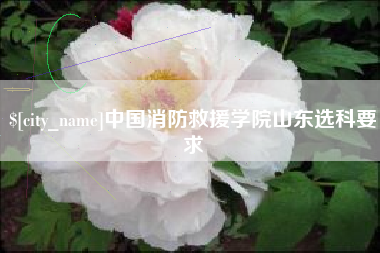 铜川中国消防救援学院山东选科要求