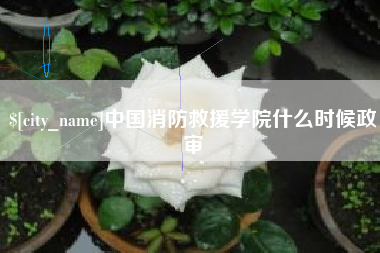 铜川中国消防救援学院什么时候政审